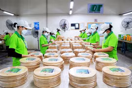Sản xuất đồ gia dụng, nhà bếp và đồ chơi bằng gỗ cho thị trường trong nước và xuất khẩu. (Ảnh: Hồng Đạt/TTXVN)