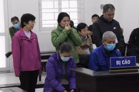 Lừa đảo ngân hàng 49 tỷ đồng, 5 lãnh đạo công ty 'dắt nhau' vào tù