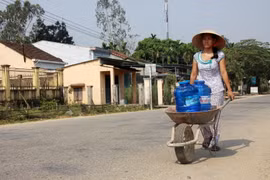 Ảnh minh họa. (Nguồn: Vinh Trọng/TTXVN)