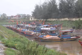 Tàu thuyền của ngư dân huyện Thái Thụy tránh trú bão tại cảng cá Tân Sơn trên địa bàn. (Ảnh: Xuân Tiến/TTXVN) 