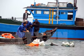 Ảnh minh họa. (Nguồn: Quốc Việt/TTXVN)