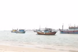 Ảnh minh họa. (Ảnh: Võ Dung/TTXVN)