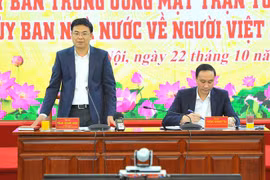 Thứ trưởng Bộ Ngoại giao, Chủ nhiệm Ủy ban Nhà nước về người Việt Nam ở nước ngoài Phạm Quang Hiệu phát biểu tại hội nghị. (Ảnh: Minh Đức/TTXVN)