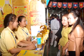 Khách tham quan hội chợ Việt-Lào diễn ra hồi tháng Bảy. (Ảnh: Phạm Kiên/TTXVN)