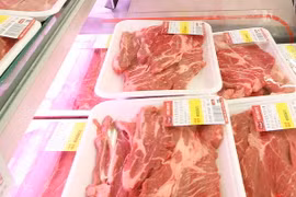 Cho phép nhập thịt bò Pháp đạt yêu cầu vào thị trường Việt Nam