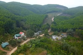 Hạ tầng giao thông được đầu tư giúp người dân xã Lương Mông (huyện Ba Chẽ) phát triển kinh tế rừng. (Nguồn: Cổng thông tin điện tử tỉnh Quảng Ninh)