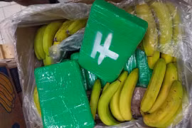 Cocaine giấu trong những hộp chuối. (Nguồn: CNN)