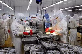 Ảnh chỉ mang tính minh họa. (Nguồn: TTXVN)