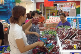 Ảnh chỉ mang tính minh họa. (Nguồn: Đức Duy/Vietnam+)