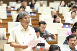 Đại biểu Quốc hội thành phố Hà Nội Nguyễn Anh Trí phát biểu. (Ảnh: Văn Điệp/TTXVN)