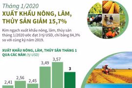 [Infographics] Tháng 1/2020: Xuất khẩu nông, lâm, thủy sản giảm 15,7%