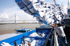 Với việc EVFTA được thông qua, EU dành cho Việt Nam một hạn mức 80.000 tấn gạo mỗi năm với mức thuế 0%, xuất khẩu gạo vào EU có thể tăng gấp 4 lần. (Ảnh: TTXVN)