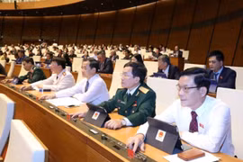 Các đại biểu Quốc hội biểu quyết thông qua Luật sửa đổi, bổ sung một số điều của Luật Tổ chức Quốc hội. (Ảnh: Văn Điệp/TTXVN)