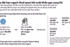 [Infographics] Ưu đãi hạn ngạch thuế quan khi xuất khẩu gạo sang EU