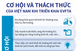 [Infographics] Cơ hội và thách thức của Việt Nam khi triển khai EVFTA