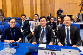 Đoàn Việt Nam tham dự Hội nghị quốc tế về an ninh hạt nhân - ICONS 2020 tại Vienna, Áo. (Ảnh: PV/Vietnam+)