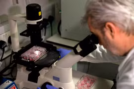 Nhà khoa học Anh Paul McKay nghiên cứu DNA của COVID-19 tại phòng thí nghiệm của Đại học Y khoa Hoàng gia London ngày 10/2/2020. (Ảnh: AFP/TTXVN)