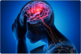 Ảnh minh họa. (Nguồn: Shutterstock.com)