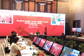 Hội nghị Bộ trưởng Kinh tế các nước CLMV lần thứ 12 tổ chức trực tuyến. (Ảnh: Đức Duy/Vietnam+)