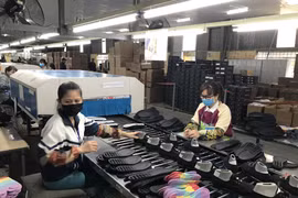 Chuyên gia Viện Da Giầy đang nghiên cứu thiết kế và chế tạo phom giầy phù hợp với bàn chân người Việt Nam. (Ảnh minh họa. Nguồn: PV/Vietnam+)