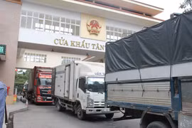 Trao đổi hàng hóa qua cửa khẩu Tân Thanh, tỉnh Lạng Sơn. (Ảnh: Đức Duy/Vietnam+)