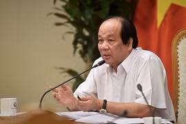 Bộ trưởng, Chủ nhiệm Văn phòng Chính phủ Mai Tiến Dũng phát biểu tại cuộc họp. (Nguồn: baochinhphu.vn)