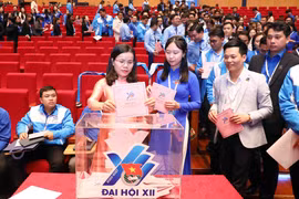 Các đại biểu bầu Ban Chấp hành Trung ương Đoàn khóa XII. (Ảnh: Phạm Kiên/TTXVN)