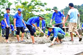 (Ảnh minh họa: TTXVN)
