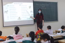 Học sinh Trường Tiểu học Phạm Tu (huyện Thanh Trì, Hà Nội) đi học trở lại. (Ảnh: Minh Anh/Vietnam+)