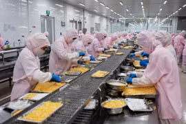 Dây chuyền chế biến thủy sản xuất khẩu. (Ảnh: Hồng Đạt/TTXVN)