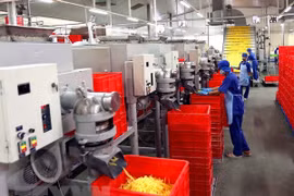 Đóng gói sản phẩm mì tại Công ty Cổ phần thực phẩm Safoco (thuộc Vinafood2). (Ảnh: Vũ Sinh/TTXVN)