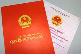 Phạt tù 12 năm đối tượng nữ lừa đảo chuyển nhượng trái phép nhà đất 