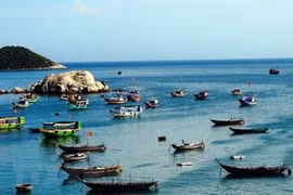 Ảnh minh họa. (Nguồn: TTXVN)