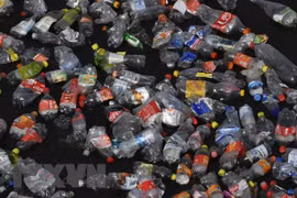 Rác thải nhựa trôi trên sông Spree ở Berlin, Đức ngày 26/9/2018. (Ảnh: AFP/TTXVN)