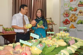 Sản phẩm xoài xuất khẩu của tỉnh An Giang. (Ảnh: Công Mạo/TTXVN)