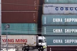 Các container hàng nhập khẩu từ Trung Quốc tại cảng Los Angeles, Mỹ. (Nguồn: AFP)