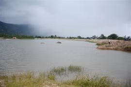 Ảnh minh họa. (Nguồn: TTXVN)