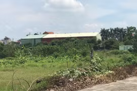 Công trình xây dựng trên đất nông nghiệp tại phường Thượng Thanh, quận Long Biên. (Ảnh: Mạnh Khánh/TTXVN)