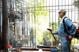 Phun thuốc diệt muỗi. (Nguồn: TTXVN)