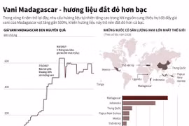 [Infographics] Vani Madagascar - hương liệu đắt đỏ hơn bạc