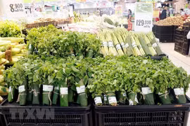Nhiều kênh phân phối hiện đại đã từng bước sử dụng lá chuối tươi gói thực phẩm, nông sản. (Ảnh: Mỹ Phương/TTXVN)