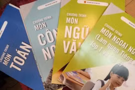 Chương trình giáo dục phổ thông mới sẽ được áp dụng với lớp một từ năm học 2020-2021. (Ảnh: Phạm Mai/Vietnam+)