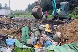 Tiêu hủy 1.620 kg nầm lợn nhập lậu không rõ nguồn gốc. (Ảnh: Trung Nguyên/TTXVN)