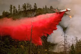 Mỹ: Công nghệ AI giúp ngăn ngừa thảm họa cháy rừng ở California