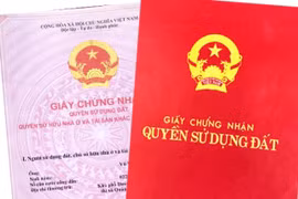Ảnh minh họa. (Nguồn: Báo Lao động)