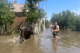 Cảnh ngập lụt sau vụ vỡ đập thủy điện Kakhovka tại tỉnh Kherson, miền Nam Ukraine, ngày 6/6/2023. (Ảnh: Kyodo/TTXVN)