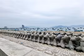 Tuyến đê biển tại phường Đông Hải (thành phố Phan Rang-Tháp Chàm, tỉnh Ninh Thuận) được xây dựng kiên cố nhằm ngăn sóng biển xâm thực. (Ảnh: Nguyễn Thành/TTXVN)