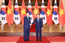 Chủ tịch Quốc hội Vương Đình Huệ tiếp Tổng thống Hàn Quốc Yoon Suk Yeol. (Ảnh: Doãn Tấn/TTXVN)