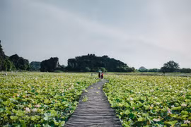 Du lịch Tràng An, Ninh Bình quyến rũ du khách. (Ảnh: Vietnam+)