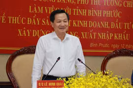 Phó Thủ tướng Lê Minh Khái phát biểu chỉ đạo tại buổi làm việc. (Ảnh: Đậu Tất Thành/TTXVN)